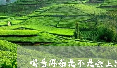 喝普洱茶是不是会上火/2023073040415