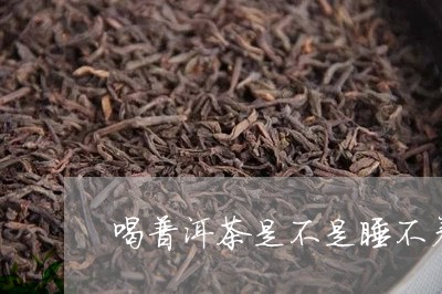 喝普洱茶是不是睡不着/2023093086260