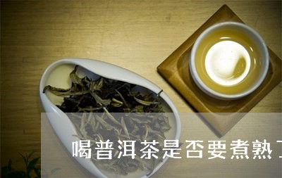 喝普洱茶是否要煮熟了再喝/2023112456271