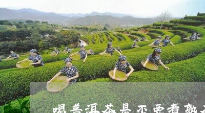 喝普洱茶是否要煮熟茶一起泡/2023121515837