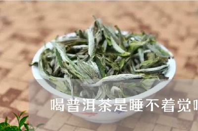 喝普洱茶是睡不着觉吗/2023120693048