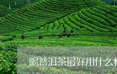 喝普洱茶最好用什么杯/2023062143716