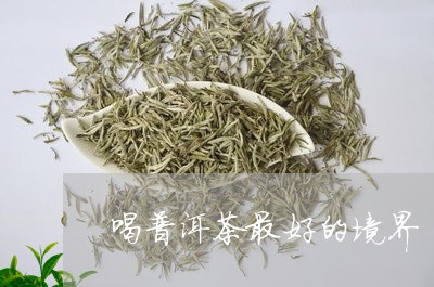 喝普洱茶最好的境界/2023071057361