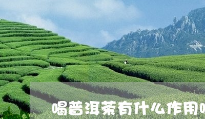 喝普洱茶有什么作用呢/2023062133826