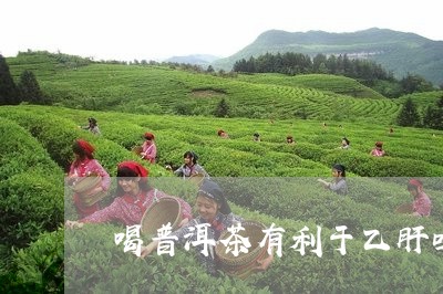 喝普洱茶有利于乙肝吗/2023092928481