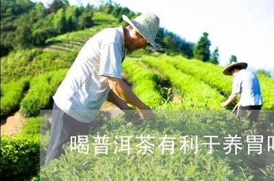 喝普洱茶有利于养胃吗对胃好吗/2023082957473