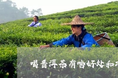 喝普洱茶有啥好处和功效/2023050594614