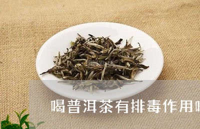 喝普洱茶有排毒作用吗/2023092799595