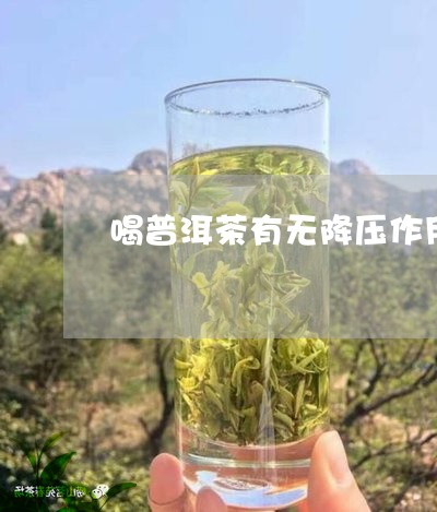 喝普洱茶有无降压作用/2023062593695