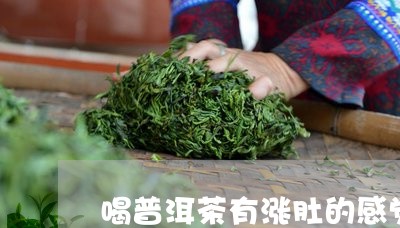 喝普洱茶有涨肚的感觉/2023092760471