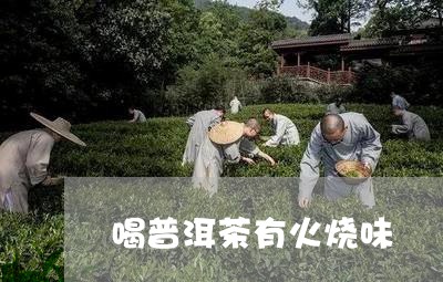 喝普洱茶有火烧味/2023120406026