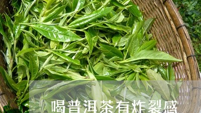 喝普洱茶有炸裂感/2023120416359