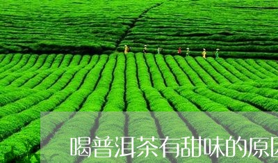 喝普洱茶有甜味的原因/2023072448281