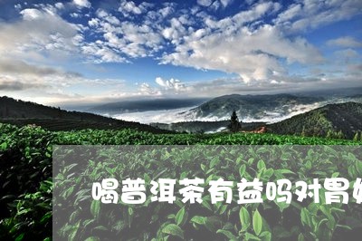 喝普洱茶有益吗对胃好吗/2023050540684