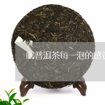 喝普洱茶每一泡的感觉/2023061552927