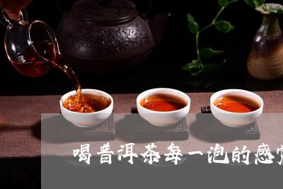 喝普洱茶每一泡的感觉/2023072125259