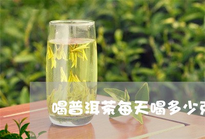 喝普洱茶每天喝多少克为宜/2023110262594