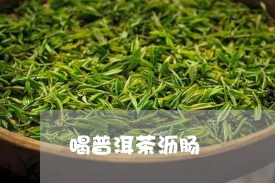 喝普洱茶沥肠/2023042532045