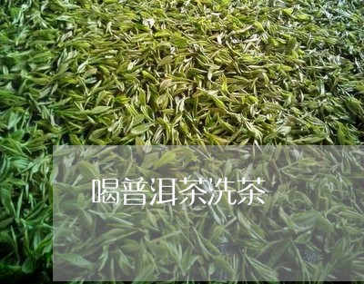 喝普洱茶洗茶/2023042817870