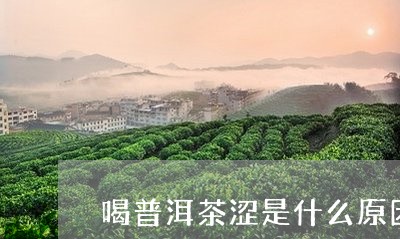 喝普洱茶涩是什么原因/2023092950503