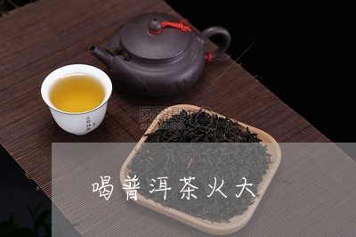 喝普洱茶火大/2023042838478