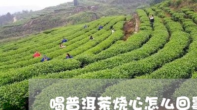 喝普洱茶烧心怎么回事/2023062116168