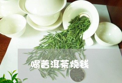 喝普洱茶烧钱/2023042805048