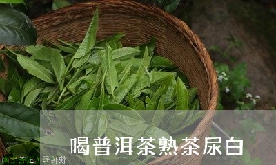 喝普洱茶熟茶尿白/2023112673818