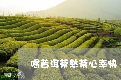 喝普洱茶熟茶心率快/2023120516157