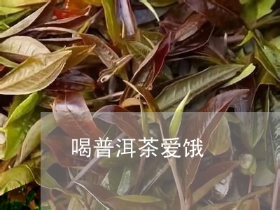 喝普洱茶爱饿/2023042980222