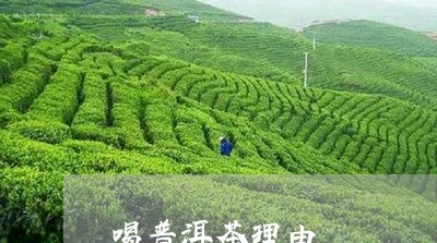 喝普洱茶理由/2023042632798