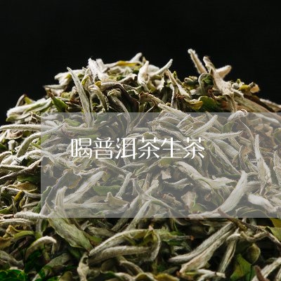 喝普洱茶生茶/2023042916436