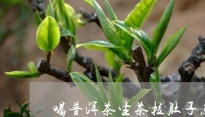 喝普洱茶生茶拉肚子怎么办/2023110283628