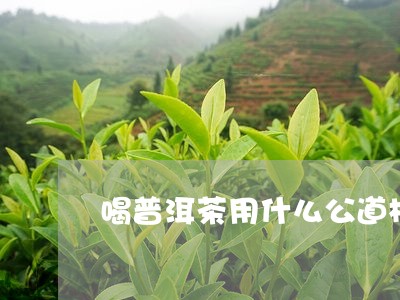 喝普洱茶用什么公道杯/2023073157037