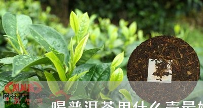 喝普洱茶用什么壶最好呢/2023103130471