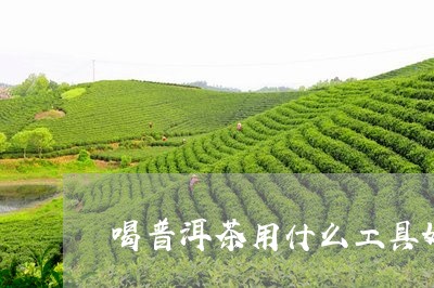 喝普洱茶用什么工具好/2023093009693