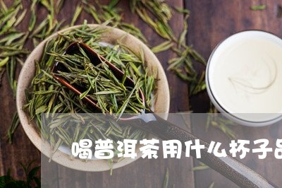 喝普洱茶用什么杯子品/2023062430504