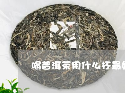 喝普洱茶用什么杯最好/2023072460606