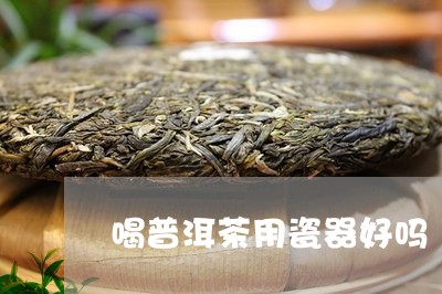 喝普洱茶用瓷器好吗/2023101671594