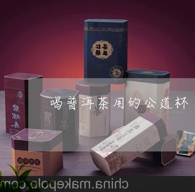 喝普洱茶用的公道杯/2023082929280