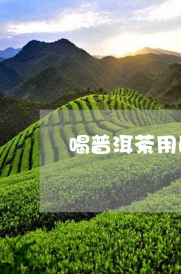 喝普洱茶用的公道杯/2023110518171