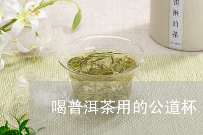 喝普洱茶用的公道杯/2023121524734