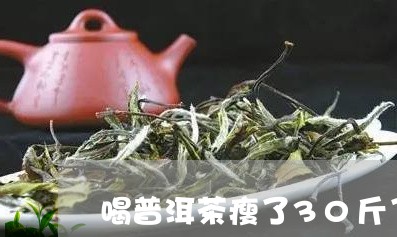 喝普洱茶瘦了30斤了/2023061903138