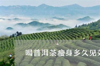 喝普洱茶瘦身多久见效/2023062518580