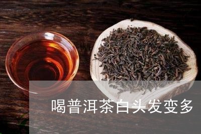 喝普洱茶白头发变多/2023101771696