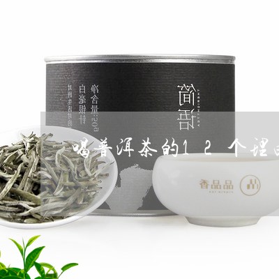 喝普洱茶的12个理由/2023062383927