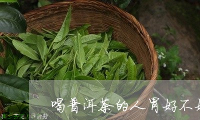 喝普洱茶的人胃好不好/2023092869581