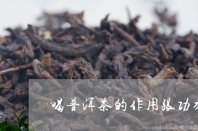 喝普洱茶的作用跟功效/2023092978592