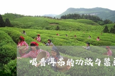 喝普洱茶的功效与禁忌/2023093034037