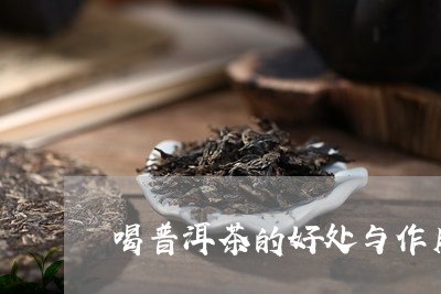 喝普洱茶的好处与作用/2023111076272